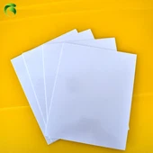 1 mm albuma PVC lapa
