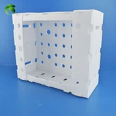 Plastmasas korflēmas augļu kaste