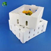 Plastmasas PP iepakojuma kaste