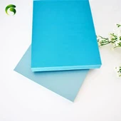 PVC Plastmasas Slēģi Panel